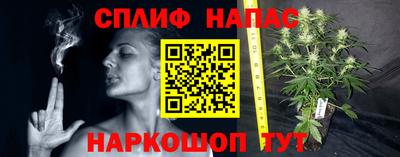 гидропоника Нягань