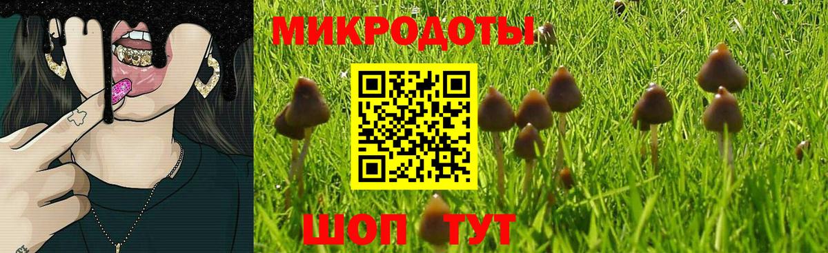 Пыть-Ях  Галлюциногенные грибы Magic Shrooms  Вход с VPN 