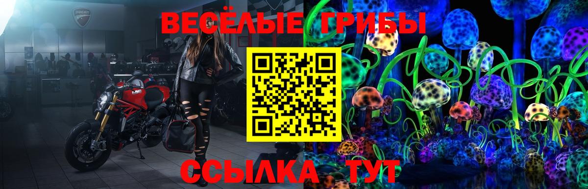 Галлюциногенные грибы Cubensis Пыть-Ях
